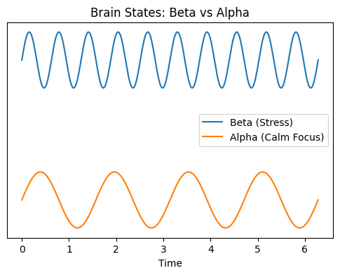 Brain Cells , The Wealth Signal Review