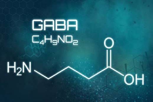 GABA